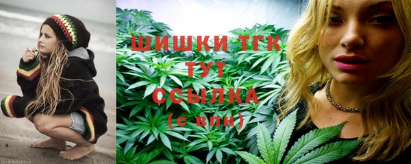 mdpv Вяземский