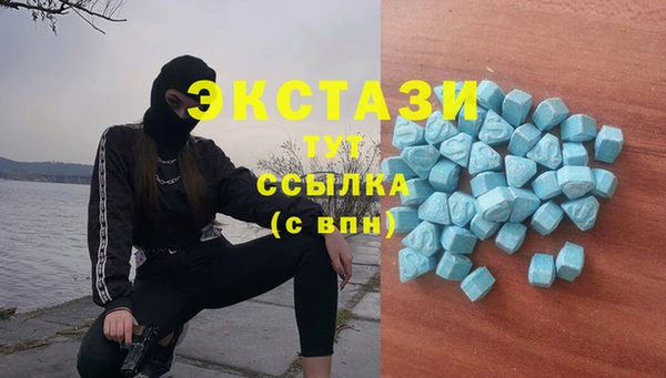 mdpv Вяземский